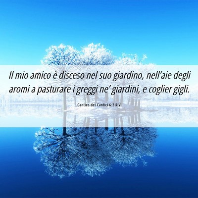 Picture 06 - Cantico dei Cantici 6:2 RIV - Il mio amico è disceso nel suo giardino, - Bible Verse Picture