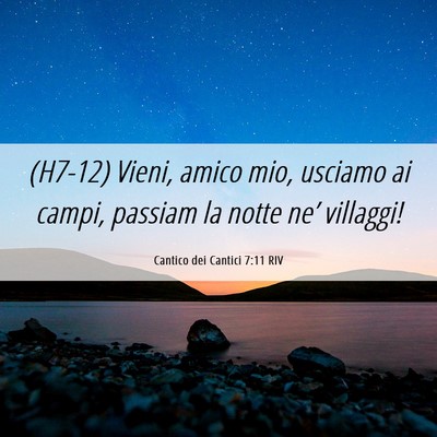 Picture 06 - Cantico dei Cantici 7:11 RIV - (H7-12) Vieni, amico mio, usciamo ai campi, - Bible Verse Picture
