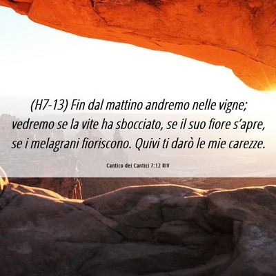 Picture 06 - Cantico dei Cantici 7:12 RIV - (H7-13) Fin dal mattino andremo nelle vigne; - Bible Verse Picture