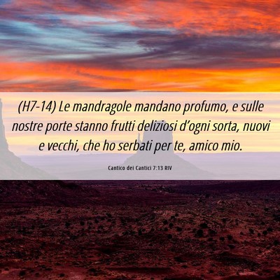 Picture 06 - Cantico dei Cantici 7:13 RIV - (H7-14) Le mandragole mandano profumo, e sulle - Bible Verse Picture