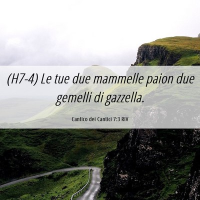 Picture 06 - Cantico dei Cantici 7:3 RIV - (H7-4) Le tue due mammelle paion due gemelli di - Bible Verse Picture
