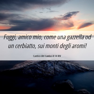 Picture 06 - Cantico dei Cantici 8:14 RIV - Fuggi, amico mio, come una gazzella od un - Bible Verse Picture