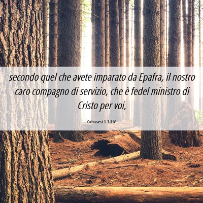 Picture 06 - Colossesi 1:7 RIV - secondo quel che avete imparato da Epafra, il - Bible Verse Picture