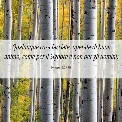 Picture 06 - Colossesi 3:23 RIV - Qualunque cosa facciate, operate di buon animo, - Bible Verse Picture