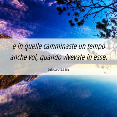 Picture 06 - Colossesi 3:7 RIV - e in quelle camminaste un tempo anche voi, quando - Bible Verse Picture