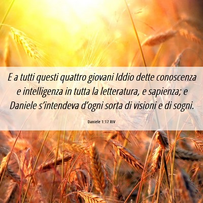 Picture 06 - Daniele 1:17 RIV - E a tutti questi quattro giovani Iddio dette - Bible Verse Picture