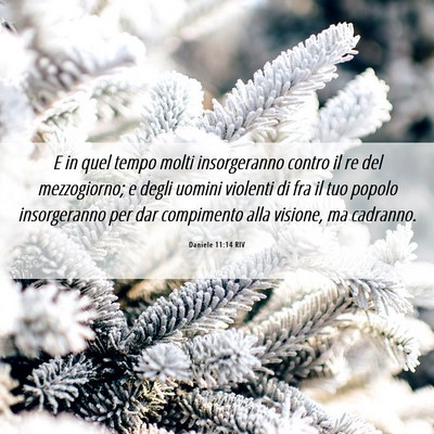 Picture 06 - Daniele 11:14 RIV - E in quel tempo molti insorgeranno contro il re - Bible Verse Picture