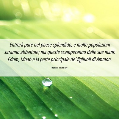 Picture 06 - Daniele 11:41 RIV - Entrerà pure nel paese splendido, e molte - Bible Verse Picture