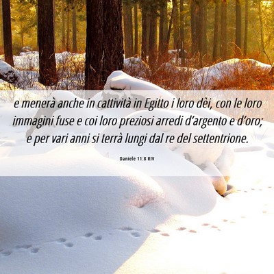 Picture 06 - Daniele 11:8 RIV - e menerà anche in cattività in Egitto i loro - Bible Verse Picture