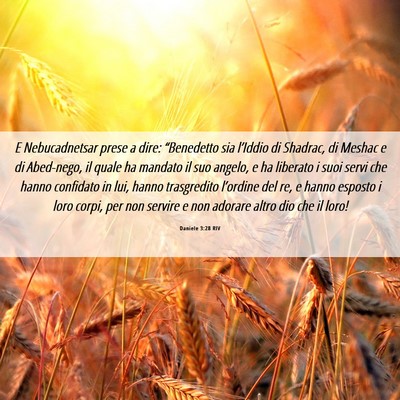 Picture 06 - Daniele 3:28 RIV - E Nebucadnetsar prese a dire: “Benedetto sia - Bible Verse Picture