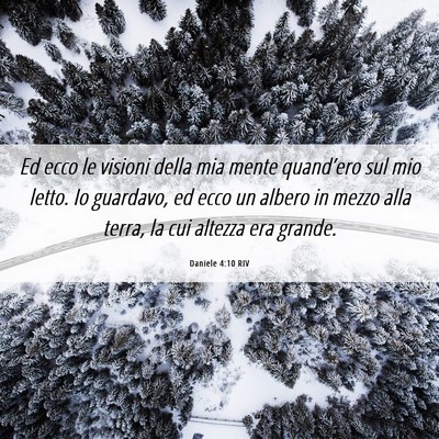 Picture 06 - Daniele 4:10 RIV - Ed ecco le visioni della mia mente quand’ero - Bible Verse Picture