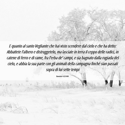 Picture 06 - Daniele 4:23 RIV - E quanto al santo Vegliante che hai visto - Bible Verse Picture