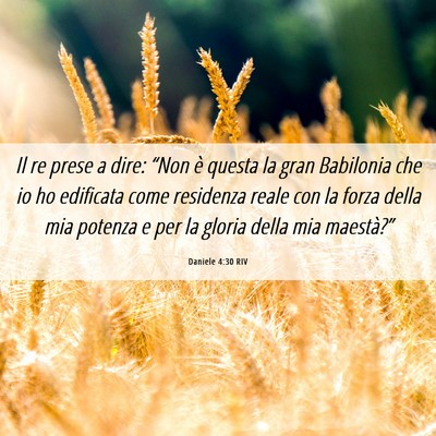 Picture 06 - Daniele 4:30 RIV - Il re prese a dire: “Non è questa la gran - Bible Verse Picture