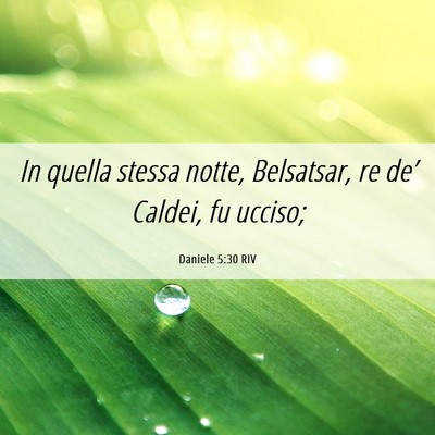 Picture 06 - Daniele 5:30 RIV - In quella stessa notte, Belsatsar, re de’ - Bible Verse Picture