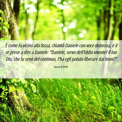 Picture 06 - Daniele 6:20 RIV - E come fu vicino alla fossa, chiamò Daniele con - Bible Verse Picture