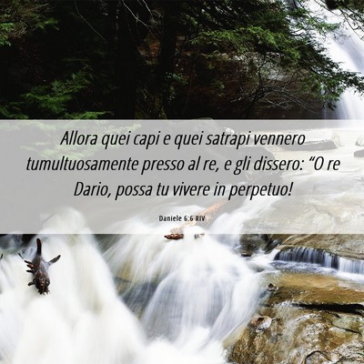 Picture 06 - Daniele 6:6 RIV - Allora quei capi e quei satrapi vennero - Bible Verse Picture