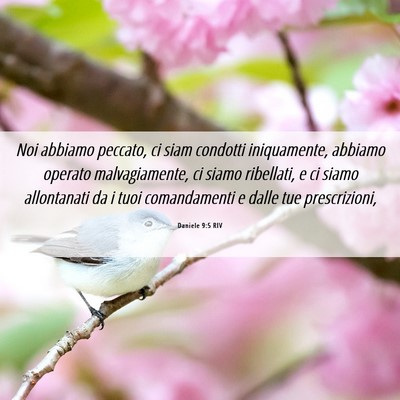 Picture 06 - Daniele 9:5 RIV - Noi abbiamo peccato, ci siam condotti - Bible Verse Picture