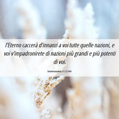 Picture 06 - Deuteronomio 11:23 RIV - l’Eterno caccerà d’innanzi a voi tutte - Bible Verse Picture
