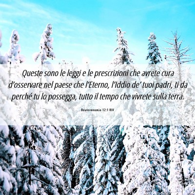 Picture 06 - Deuteronomio 12:1 RIV - Queste sono le leggi e le prescrizioni che avrete - Bible Verse Picture
