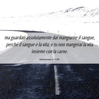Picture 06 - Deuteronomio 12:23 RIV - ma guardati assolutamente dal mangiarne il - Bible Verse Picture