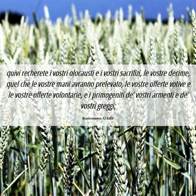 Picture 06 - Deuteronomio 12:6 RIV - quivi recherete i vostri olocausti e i vostri - Bible Verse Picture