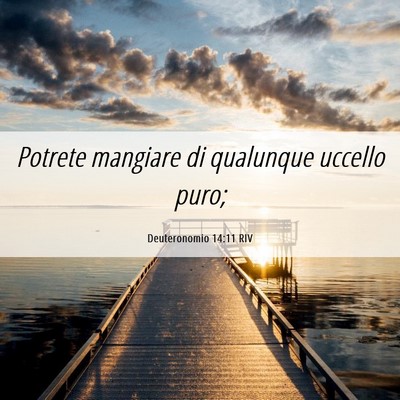 Picture 06 - Deuteronomio 14:11 RIV - Potrete mangiare di qualunque uccello - Bible Verse Picture