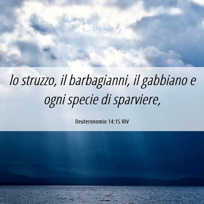 Picture 06 - Deuteronomio 14:15 RIV - lo struzzo, il barbagianni, il gabbiano e ogni - Bible Verse Picture