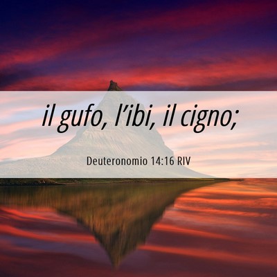 Picture 06 - Deuteronomio 14:16 RIV - il gufo, l’ibi, il - Bible Verse Picture