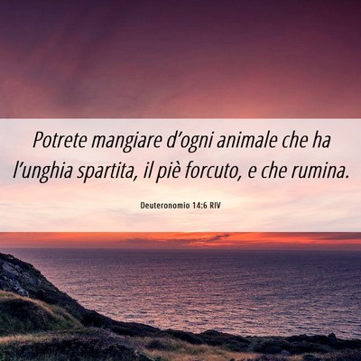 Picture 06 - Deuteronomio 14:6 RIV - Potrete mangiare d’ogni animale che ha - Bible Verse Picture