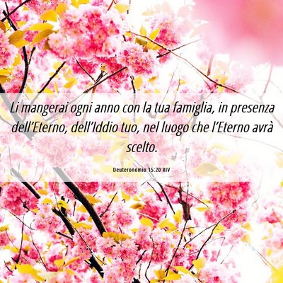 Picture 06 - Deuteronomio 15:20 RIV - Li mangerai ogni anno con la tua famiglia, in - Bible Verse Picture