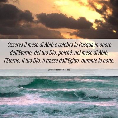 Picture 06 - Deuteronomio 16:1 RIV - Osserva il mese di Abib e celebra la Pasqua in - Bible Verse Picture