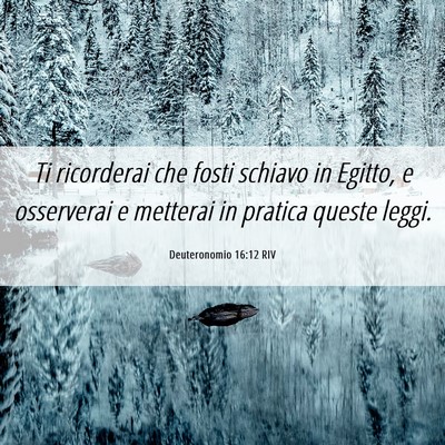 Picture 06 - Deuteronomio 16:12 RIV - Ti ricorderai che fosti schiavo in Egitto, e - Bible Verse Picture