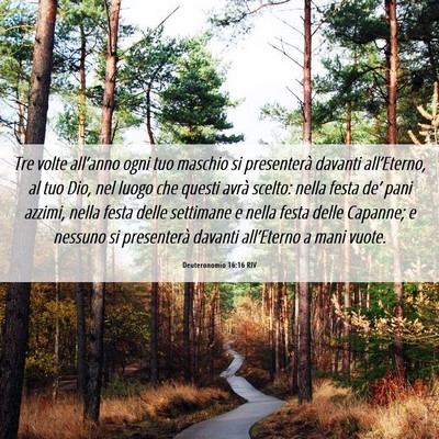 Picture 06 - Deuteronomio 16:16 RIV - Tre volte all’anno ogni tuo maschio si - Bible Verse Picture
