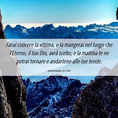 Picture 06 - Deuteronomio 16:7 RIV - Farai cuocere la vittima, e la mangerai nel luogo - Bible Verse Picture
