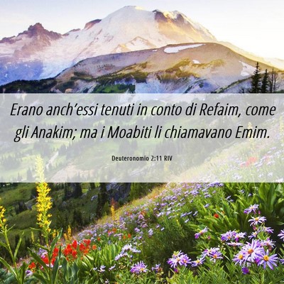 Picture 06 - Deuteronomio 2:11 RIV - Erano anch’essi tenuti in conto di Refaim, come - Bible Verse Picture