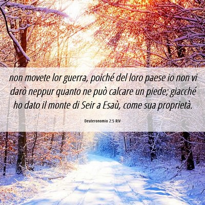Picture 06 - Deuteronomio 2:5 RIV - non movete lor guerra, poiché del loro paese io - Bible Verse Picture