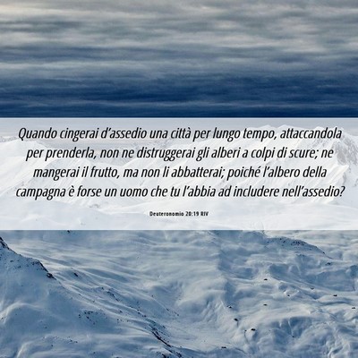 Picture 06 - Deuteronomio 20:19 RIV - Quando cingerai d’assedio una città per lungo - Bible Verse Picture