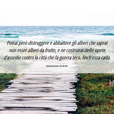 Picture 06 - Deuteronomio 20:20 RIV - Potrai però distruggere e abbattere gli alberi - Bible Verse Picture