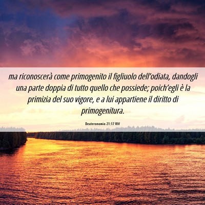 Picture 06 - Deuteronomio 21:17 RIV - ma riconoscerà come primogenito il figliuolo - Bible Verse Picture