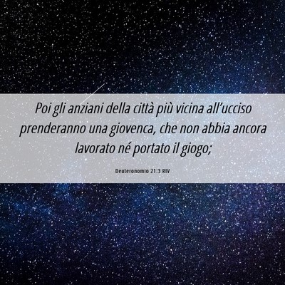 Picture 06 - Deuteronomio 21:3 RIV - Poi gli anziani della città più vicina - Bible Verse Picture