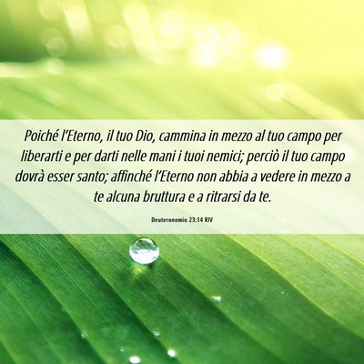 Picture 06 - Deuteronomio 23:14 RIV - Poiché l’Eterno, il tuo Dio, cammina in mezzo - Bible Verse Picture