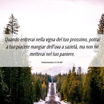 Picture 06 - Deuteronomio 23:24 RIV - Quando entrerai nella vigna del tuo prossimo, - Bible Verse Picture