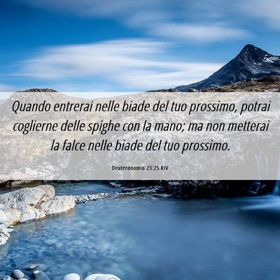 Picture 06 - Deuteronomio 23:25 RIV - Quando entrerai nelle biade del tuo prossimo, - Bible Verse Picture