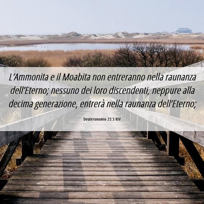 Picture 06 - Deuteronomio 23:3 RIV - L’Ammonita e il Moabita non entreranno nella - Bible Verse Picture