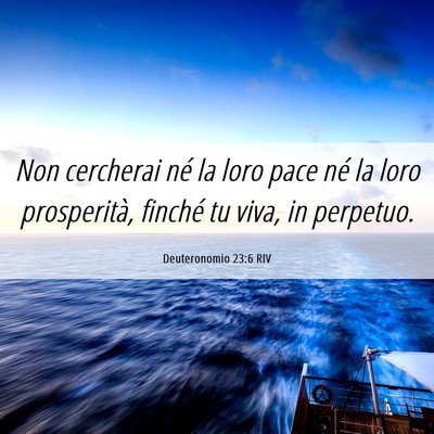 Picture 06 - Deuteronomio 23:6 RIV - Non cercherai né la loro pace né la loro - Bible Verse Picture