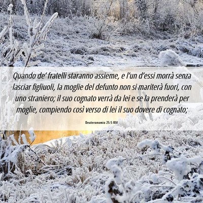 Picture 06 - Deuteronomio 25:5 RIV - Quando de’ fratelli staranno assieme, e l’un - Bible Verse Picture