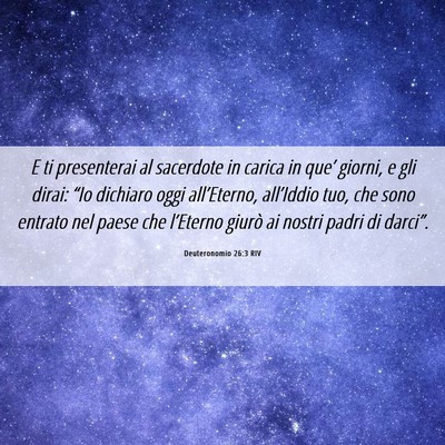 Picture 06 - Deuteronomio 26:3 RIV - E ti presenterai al sacerdote in carica in que’ - Bible Verse Picture