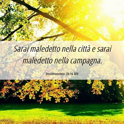 Picture 06 - Deuteronomio 28:16 RIV - Sarai maledetto nella città e sarai maledetto - Bible Verse Picture