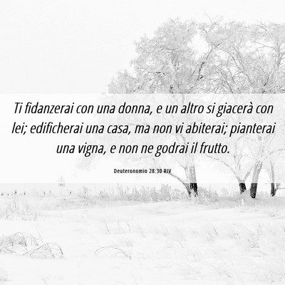 Picture 06 - Deuteronomio 28:30 RIV - Ti fidanzerai con una donna, e un altro si - Bible Verse Picture