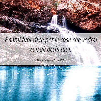 Picture 06 - Deuteronomio 28:34 RIV - E sarai fuor di te per le cose che vedrai con gli - Bible Verse Picture